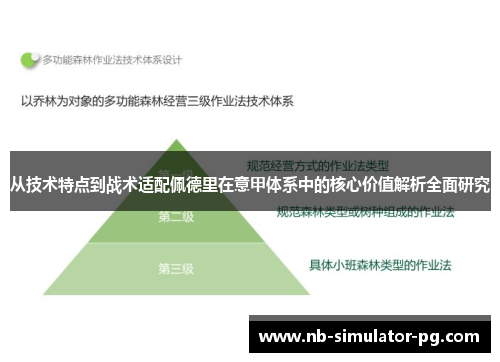 从技术特点到战术适配佩德里在意甲体系中的核心价值解析全面研究