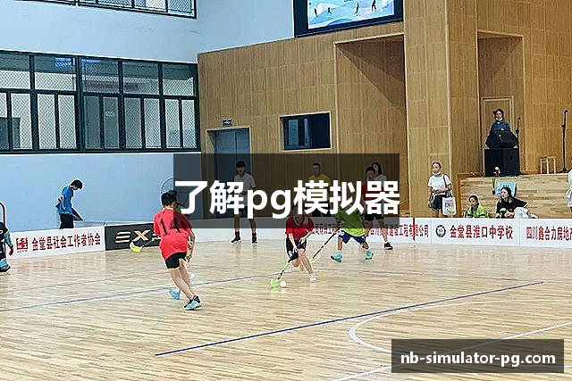 了解pg模拟器
